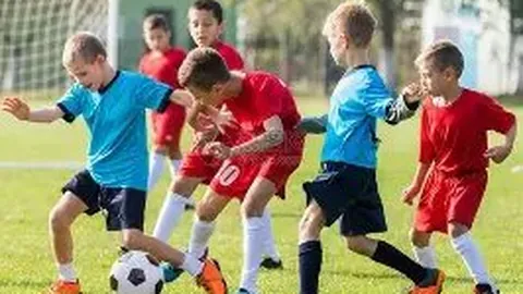 Pinbo拼搏体育官网 产品 121455 tlg