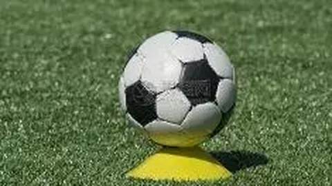 Pinbo拼搏体育官网 资讯 122325 112