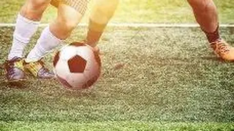 Pinbo拼搏体育官网