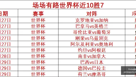 赛季战绩解析：17胜13负，阳光队稳定发挥对决神秘人
